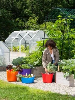 3-Season Plant Protection Tent, 3' X 6' -Garden Care Store 35 592 0181 1