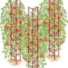 Tomato Ladders, Set Of 3 1 Tomato Ladders, Set Of 3 -Garden Care Store 38185 001E psd