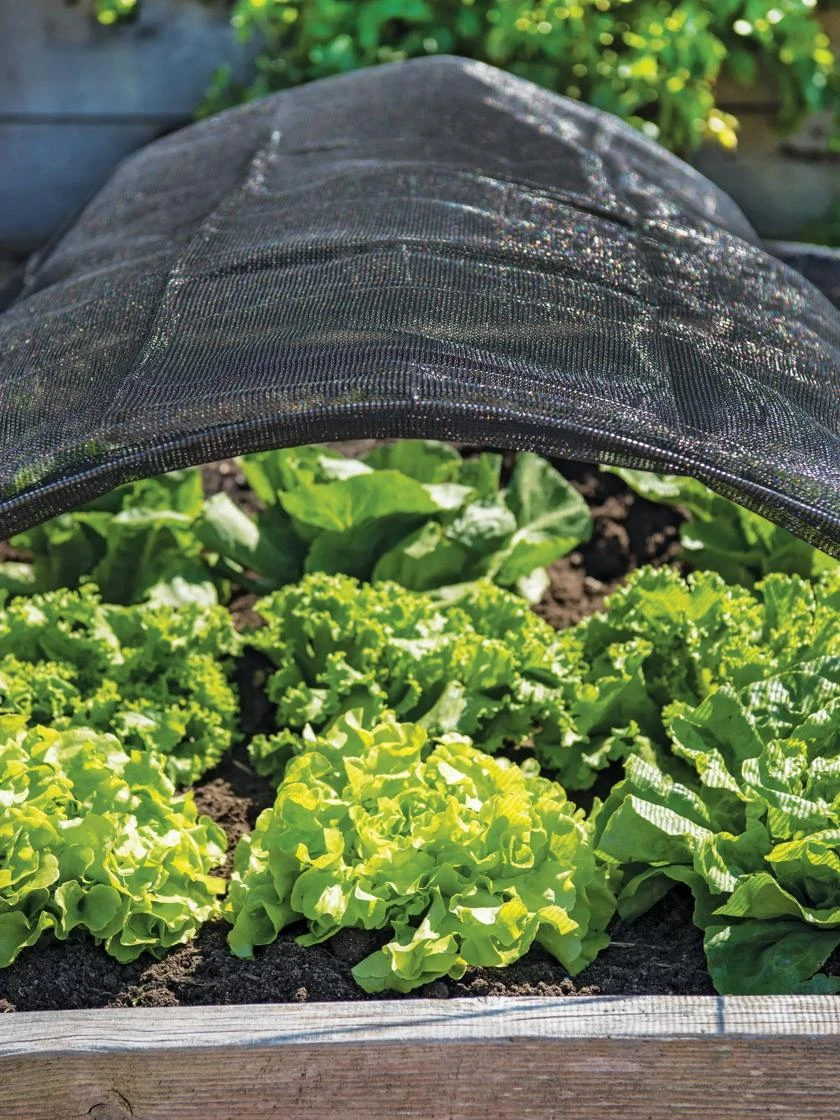 Shade Nets 3 Shade Nets