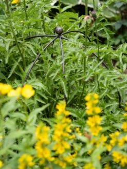 Jardin Bird Cage Support, 26" -Garden Care Store 39 520 0077 tif