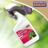 Bonide® Japanese Beetle Killer 1 Bonide® Japanese Beetle Killer -Garden Care Store 3 4 crop 8586927 01V 3 4