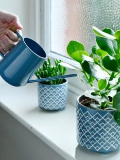 Pinpoint Indoor Watering Can 14 Pinpoint Indoor Watering Can -Garden Care Store 3 4 crop 8612963 03V tif