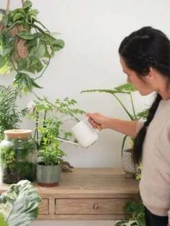 Pinpoint Indoor Watering Can 15 Pinpoint Indoor Watering Can -Garden Care Store 3 4 crop 8612963 3774