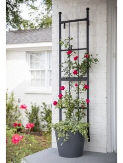 Garden Care Store 10 Essex Wall Trellis