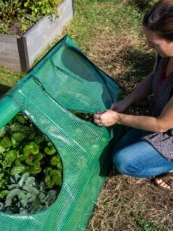 Multi Cloche 15 Multi Cloche -Garden Care Store 3 4 crop 8613213 0245