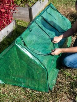 Multi Cloche 14 Multi Cloche -Garden Care Store 3 4 crop 8613213 0250