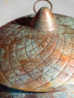 Acorn Hose Pot -Garden Care Store 3 4 crop 8613361 0045