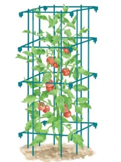 Tomato Cage, Single -Garden Care Store 8587039 TomatoCage BLUE tif
