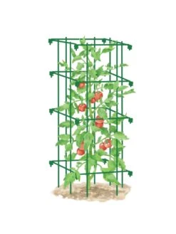 Tomato Cage, Single -Garden Care Store 8587039 TomatoCage GRN tif