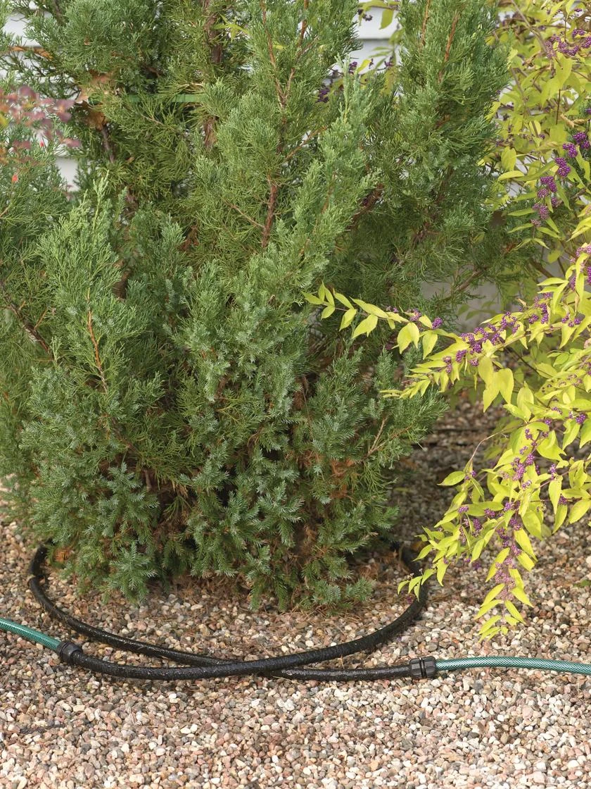 Landscape Snip-n-Drip Soaker System 3 Landscape Snip-n-Drip Soaker System