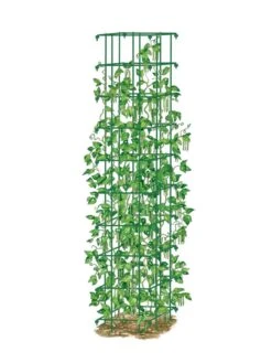 Bean Tower -Garden Care Store 8587060 0008 GRN tif