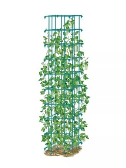 Bean Tower -Garden Care Store 8587060 BeanTower BLUE