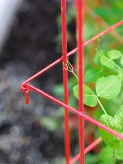 Tall Expandable Pea Trellis -Garden Care Store 8587061 010 tif