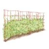 Expandable Pea Trellis -Garden Care Store 8587061 PeaFence Red 001E tif
