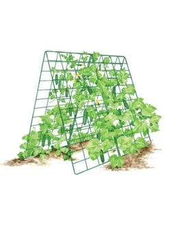 Deluxe Cucumber Trellis -Garden Care Store 8587083 001 GRN tif