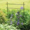 Jardin Ladder Trellis -Garden Care Store 8587107 1651 tif