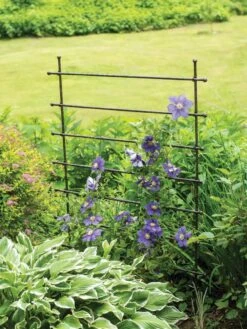 Jardin Ladder Trellis
