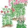 Grow Through Supports, Set Of 3 2 Grow Through Supports, Set Of 3 -Garden Care Store 8587111RS 001E 1