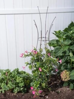 Jardin Pot Trellis 9 Jardin Pot Trellis -Garden Care Store 8587120 0028 tif