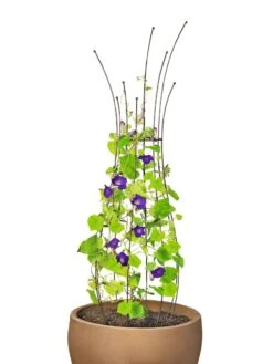 Jardin Pot Trellis 13 Jardin Pot Trellis -Garden Care Store 8587120 1006 tif