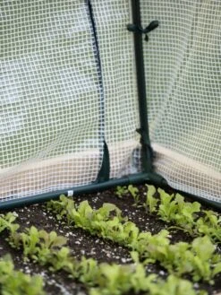 Protection Frame & Covers, 2' X 8' -Garden Care Store 8587631 271 tif