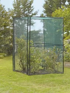 Crop Cage, 4' X 4' -Garden Care Store 8587832 149 tif