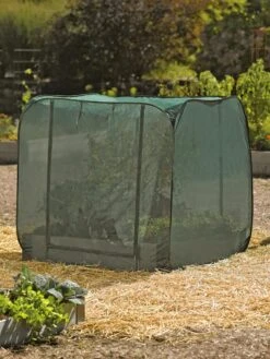 Pest Control Pop-Ups -Garden Care Store 8587859 026 tif