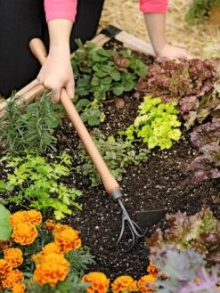 Gardener's Lifetime Raised Bed Cultivator 9 Gardener's Lifetime Raised Bed Cultivator -Garden Care Store 8587960 0687 tif