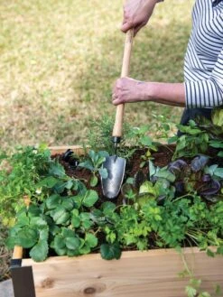 Gardener's Lifetime Raised Bed Trowel -Garden Care Store 8588014 4084 tif