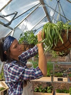 Canopia® By Palram Balance Greenhouse, 8' X 12' -Garden Care Store 8588023 07V jpg