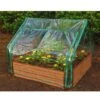 Extendable Cold Frame Greenhouse 2 Extendable Cold Frame Greenhouse -Garden Care Store 8588247 03V extendable cold frame greenhouse