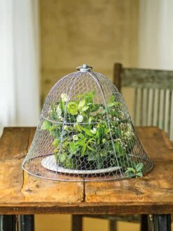 Chicken Wire Cloche 19 Chicken Wire Cloche -Garden Care Store 8590210 1 tif