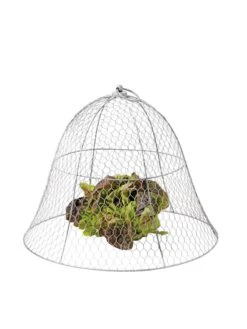 Chicken Wire Cloche 20 Chicken Wire Cloche -Garden Care Store 8590210 675 tif
