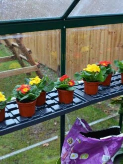 Canopia® By Palram Shelf Kit For Greenhouses, Set Of 2 Shelves -Garden Care Store 8591033 09V jpg