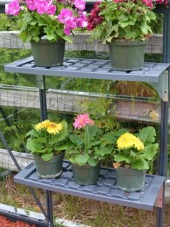 Canopia® By Palram Shelf Kit For Greenhouses, Set Of 2 Shelves -Garden Care Store 8591033 11V jpg