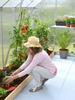 Canopia® By Palram Essence™ Greenhouse, 8' X 12' 18 Canopia® By Palram Essence™ Greenhouse, 8' X 12' -Garden Care Store 8591356 04V tif