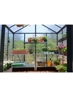 Canopia® By Palram Glory™ Greenhouse, 8' -Garden Care Store 8591547 02v