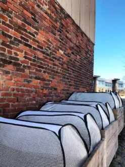 Row Shelter Accelerator -Garden Care Store 8591990 01IN tif