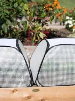 Row Shelter Accelerator -Garden Care Store 8591990 2199 tif