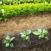 3-in-1 Chicken Wire Cloche -Garden Care Store 8592117 5598 1 chicken wire cloche 3 in 1 tif