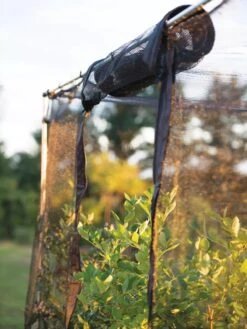 Storm Proof Crop Cage, Large -Garden Care Store 8592463 115 tif