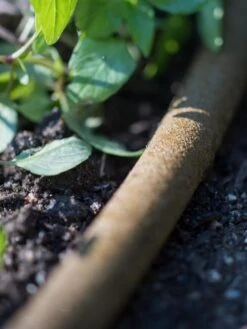 Premium 1/2" Soaker Hose -Garden Care Store 8592730 4933 tif