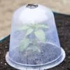 Large Garden Cloches, Set Of 3 -Garden Care Store 8593984 345 tif