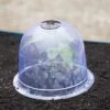 Medium Garden Cloches, Set Of 6 2 Medium Garden Cloches, Set Of 6 -Garden Care Store 8593985 347 tif