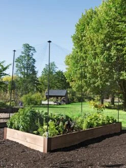 Protection Stakes For Netting, Set Of 4 -Garden Care Store 8594434 0015 tif