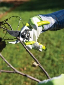 Gardener's Pro Pruner #2 9 Gardener's Pro Pruner #2 -Garden Care Store 8596605 032 tif