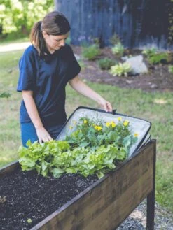 Pop-Up Crop Protector -Garden Care Store 8596763 EasyCropProtector gif