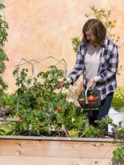 Gardener's Vertex Lifetime Tomato Cage 11 Gardener's Vertex Lifetime Tomato Cage -Garden Care Store 8598426 0026 tif