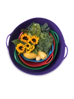 Colorful Tubtrug, 7 Gallon -Garden Care Store 8599088 20GalTubTrug gif