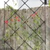 Achla Designs Freestanding Lattice Trellis 2 Achla Designs Freestanding Lattice Trellis -Garden Care Store 8599475 01V tif